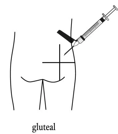 Medical diagram showing a syringe with needle inserted into the gluteal muscle at a 90-degree angle to the skin surface