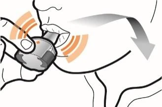 Disegno schematico di una mano che tiene un inalatore vicino alla bocca con frecce che indicano il movimento di inalazione profonda