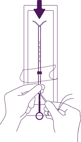 Disegno tecnico viola che mostra due mani che impugnano un dispositivo medico sottile con scala graduata e una freccia che punta verso il basso
