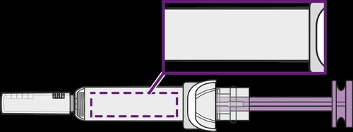 Diagramma tecnico di una siringa con ingrandimento di un dettaglio della parte superiore del corpo cilindrico del dispositivo