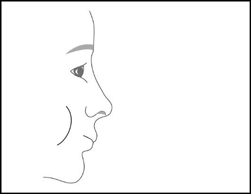 Disegno lineare del profilo di un volto umano rivolto verso destra con occhi, naso, bocca e mento ben definiti su sfondo bianco