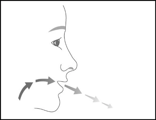Profilo laterale di un volto umano con frecce grigie che indicano il passaggio dell'aria attraverso la bocca e il naso