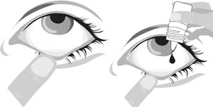 Black and white drawing showing the