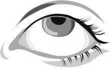 Dibujo estilizado en blanco y negro de un ojo humano con pestañas largas y definidas y pupila oscura sobre fondo blanco