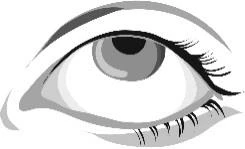 Dibujo estilizado en blanco y negro de un ojo humano abierto con pestañas largas y definidas en el párpado superior e inferior