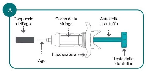 Diagram of a syringe with labels indicating the needle cap,