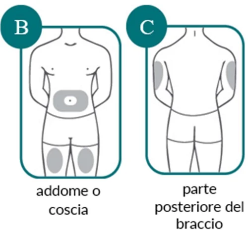 Medical diagrams showing injection sites: abdomen or thigh in figure B and back of the arm in figure C