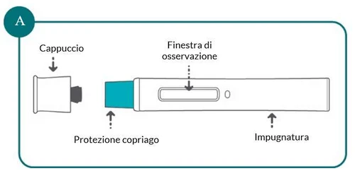 Medical diagram showing needle cap, needle shield, viewing window, and handle of an injection device