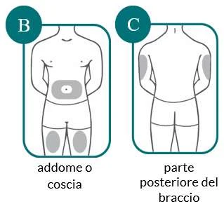 Medical diagrams showing injection sites: abdomen or thigh in the first diagram and back of the arm in the second diagram