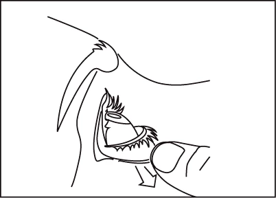 Disegno lineare che mostra una mano che preme un dispositivo medico sulla pelle della parte superiore del braccio o della spalla