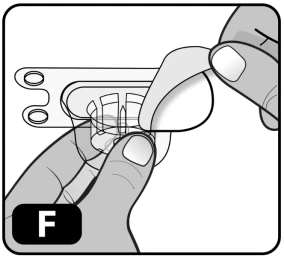 Two hands holding and gently lifting the top part of a transparent medical device with lateral openings and internal components