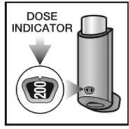 Diagramma tecnico che mostra un indicatore di dose con la scritta 200 all'interno di un cerchio ingrandito accanto a un dispositivo cilindrico