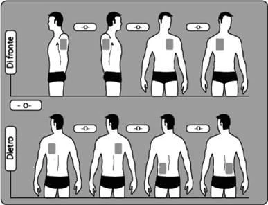 Diagramma medico con otto figure umane che mostrano diverse posizioni del corpo di fronte e di dietro per indicare i siti di iniezione sul torso