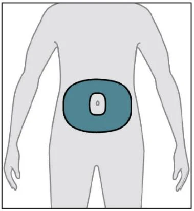 Stylized diagram of a human torso with a