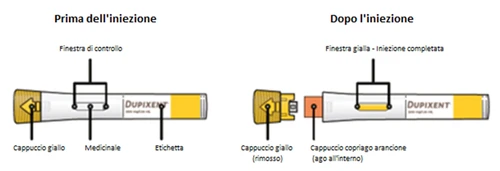 Medical diagram showing an injector with yellow cap and viewing window before the