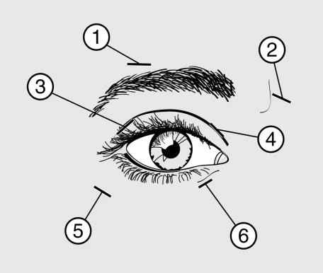 Diagramma schematico di un occhio con sei numeri cerchiati che indicano diverse parti dell'occhio tramite linee di riferimento numerate