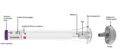 Diagram of a medical device with labels indicating top part, purple button, locking ring, symbols, medication, needle, base, and bottom
