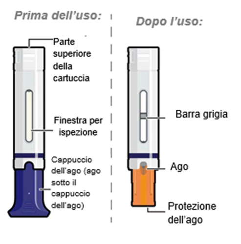 Diagramma che mostra una cartuccia prima e dopo l'uso con etichette per parte superiore, finestra di ispezione, ago, barra grigia e protezione