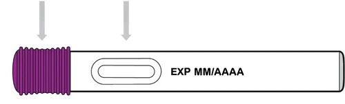 Diagramma di un dispositivo medico cilindrico bianco con estremità viola scanalata e frecce grigie che indicano la finestra di controllo e la data di scadenza