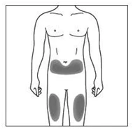 Schematic drawing of a male torso with shaded areas indicating application sites on the