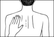Disegno in bianco e nero della schiena di una persona con una mano appoggiata sulla parte superiore sinistra e due linee verticali sulla colonna vertebrale