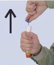 A hand holds a white vial with a blue cap while the