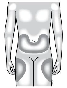 Stylized diagram of a human body highlighting with gray areas the region