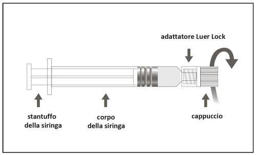 Diagramma di una siringa con frecce che indicano lo stantuffo, il corpo della siringa, l'adattatore Luer Lock e il cappuccio da ruotare