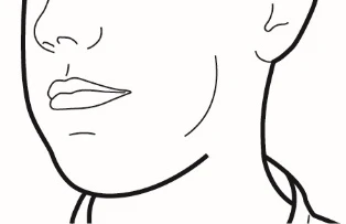 Line drawing of the face and neck of a person showing the profile of the mouth, nose, and throat