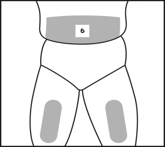 Diagramma del corpo umano che mostra una fascia grigia sull'addome con il numero 6 e due zone grigie sulle cosce anteriori