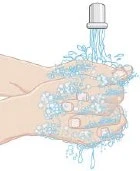 Two hands being washed under a stream of water
