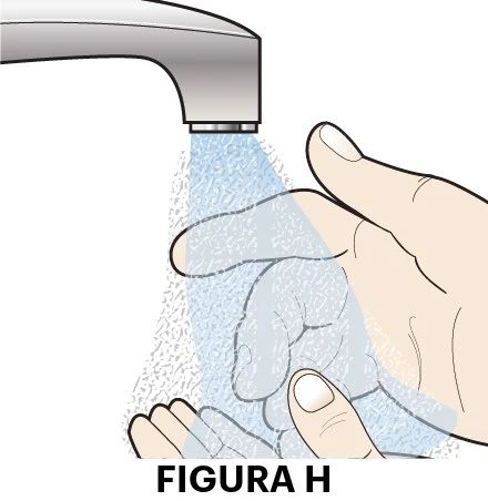 A hand under a stream of water