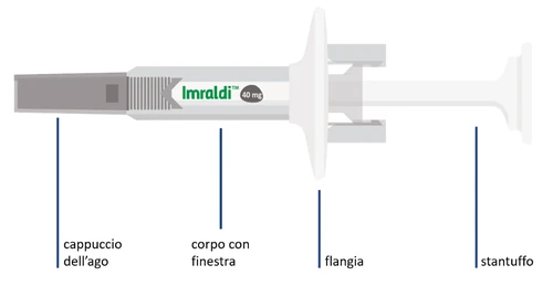 Diagram of a pre-filled syringe with needle cap