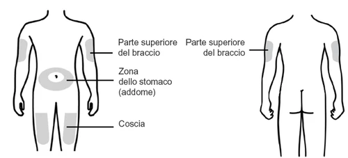 Diagramma del corpo umano frontale e posteriore con zone grigie che indicano braccia, addome e cosce per l'iniezione del farmaco