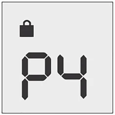 Black lock icon in the upper left corner above stylized digital characters of the letter P and the number 4 on a light gray background