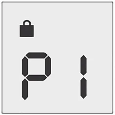 Black lock icon in the upper left corner and stylized digital text 'PI' in digital characters centered on a light gray background