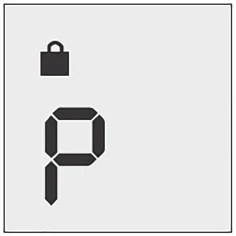 Black lock symbol above a stylized lowercase letter 'p' in digital format on a light gray background