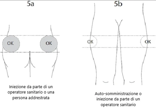 Medical diagrams showing correct injection sites on thigh and buttocks with gray circles and the label 'OK' for administration