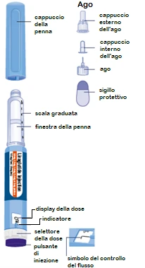 Diagramma medico con parti di penna iniettiva: cappuccio, scala graduata, finestra, display dose, selettore, pulsante e componenti dell'ago con sigillo
