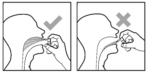 Two diagrams show the