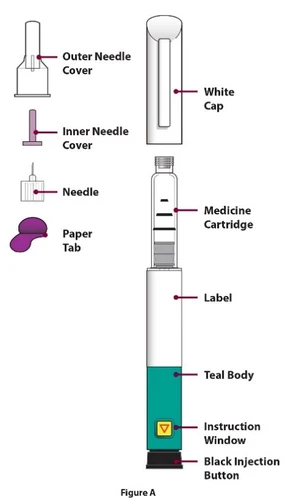 Diagramma medico con componenti di un iniettore: coperture ago interna ed esterna, ago, linguetta di carta, cartuccia, etichetta, corpo verde e pulsante nero