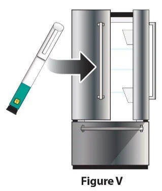 Una penna iniettiva con base verde viene inserita all'interno di un frigorifero metallico aperto con ripiani bianchi e maniglie verticali