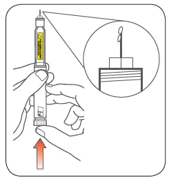 Two hands holding a pre-filled syringe with a magnified detail of the tip