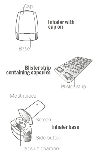 Diagramma medico con inalatore con cappuccio, blister con capsule e base dell'inalatore con boccaglio, schermo, pulsante laterale e camera per capsule