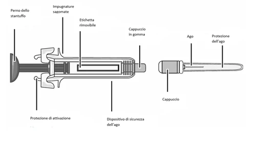 Schema tecnico di una siringa con etichette descrittive che indicano perno dello stantuffo, impugnature, etichetta, cappuccio, ago e protezioni