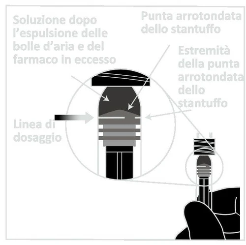 Technical diagram of an injection pen with arrows indicating the rounded tip of the plunger, the dosage line, and the solution