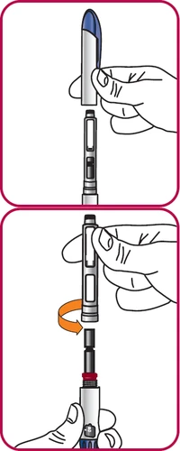 Two-step medical illustration showing a hand gripping an injection pen to assemble and rotate a lower component