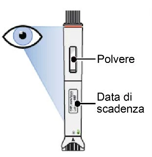 Diagram of an injection pen indicating the position of the powder at