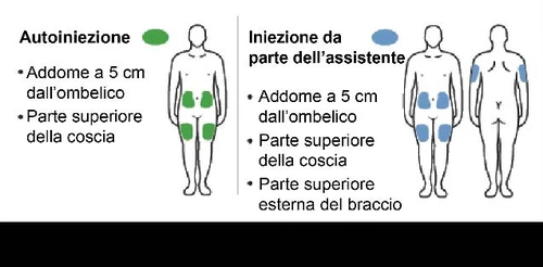 Medical diagram with human silhouettes indicating injection sites in the