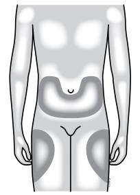 Male human body diagram highlighting in gray areas the region of the
